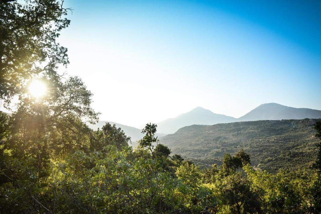 Enagron Ecotourism Village Axos Екстер'єр фото